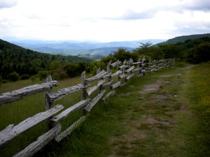 Grayson Highlands State Park in Southwest Virginia . . . One of my favorite places in the world