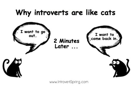 introverts cats