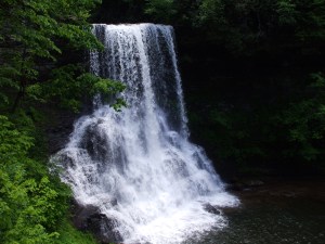 The Cascades, a waterfall in Giles County in SW Virginia.  05-31-2010.
