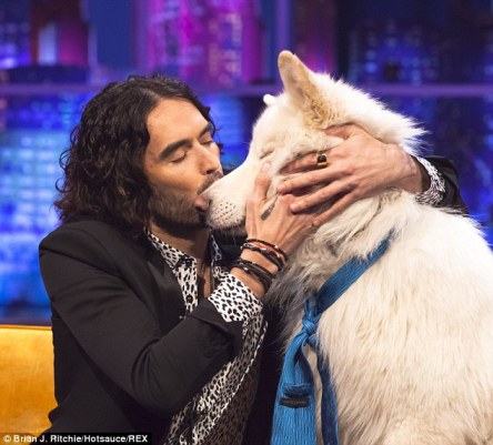 russell brand with dog