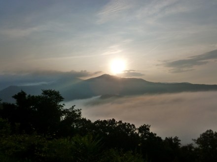 I'm including some pictures from our recent vacation to Asheville, so this post won't feel overly pessimistic. 