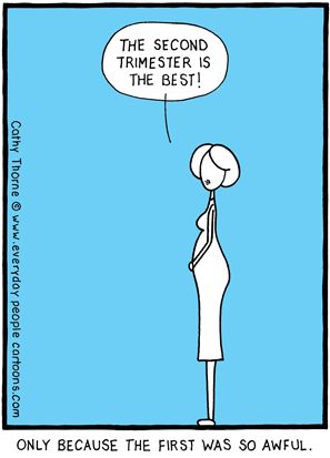 second trimester