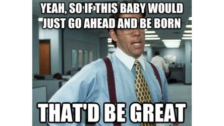 pregnancy-meme