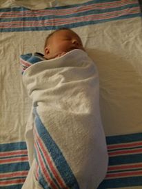 baby-burrito